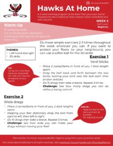 Beginner (Week 2) Beginner (Week 2)