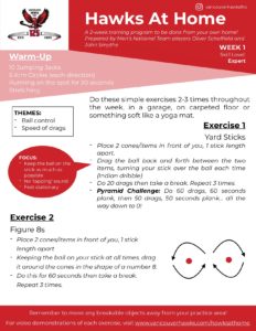 Expert (Week 1, page 1) Expert (Week 1, page 1)