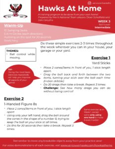 Intermediate (Week 3) Intermediate (Week 3)